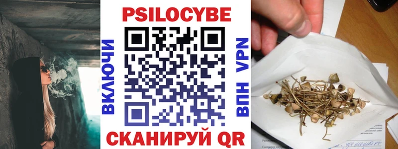 Купить где Курганинск Галлюциногенные грибы Magic Shrooms